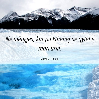 Picture 06 - Mateu 21:18 ALB - Në mëngjes, kur po kthehej në qytet e mori - Bible Verse Picture