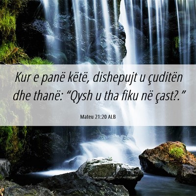 Picture 06 - Mateu 21:20 ALB - Kur e panë këtë, dishepujt u çuditën dhe - Bible Verse Picture