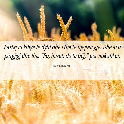 Picture 06 - Mateu 21:30 ALB - Pastaj iu kthye të dytit dhe i tha të njëjtën - Bible Verse Picture