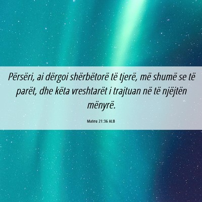 Picture 06 - Mateu 21:36 ALB - Përsëri, ai dërgoi shërbëtorë të tjerë, - Bible Verse Picture