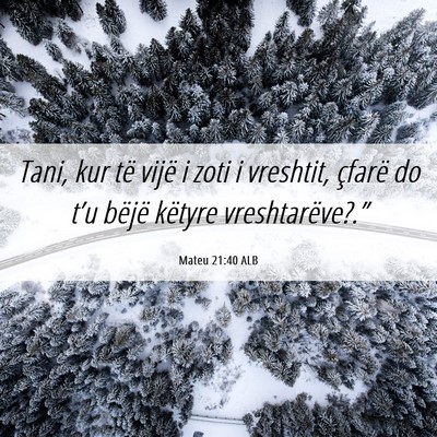 Picture 06 - Mateu 21:40 ALB - Tani, kur të vijë i zoti i vreshtit, çfarë do - Bible Verse Picture