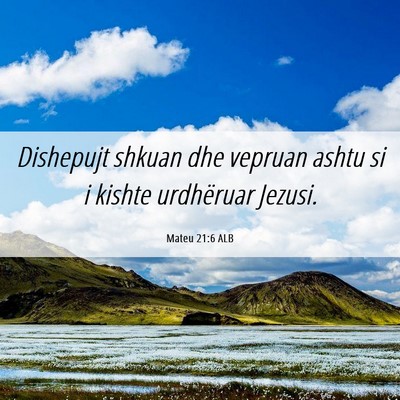 Picture 06 - Mateu 21:6 ALB - Dishepujt shkuan dhe vepruan ashtu si i kishte - Bible Verse Picture