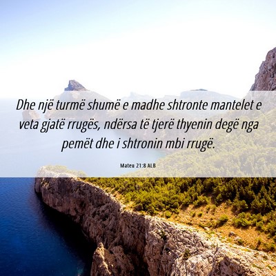 Picture 06 - Mateu 21:8 ALB - Dhe një turmë shumë e madhe shtronte mantelet - Bible Verse Picture