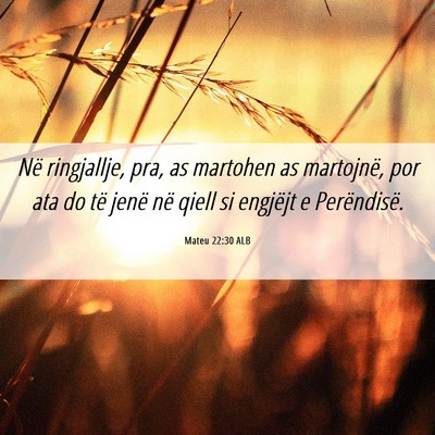 Picture 06 - Mateu 22:30 ALB - Në ringjallje, pra, as martohen as martojnë, - Bible Verse Picture