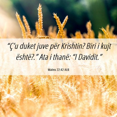 Picture 06 - Mateu 22:42 ALB - “Ç’u duket juve për Krishtin? Biri i kujt - Bible Verse Picture