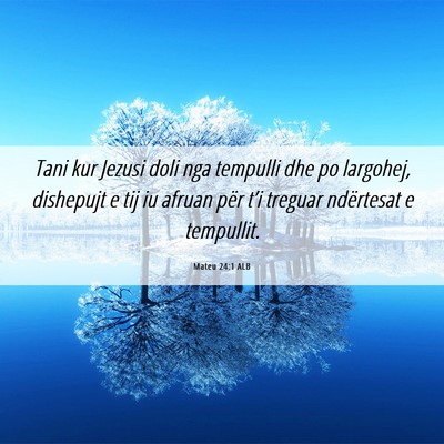 Picture 06 - Mateu 24:1 ALB - Tani kur Jezusi doli nga tempulli dhe po - Bible Verse Picture