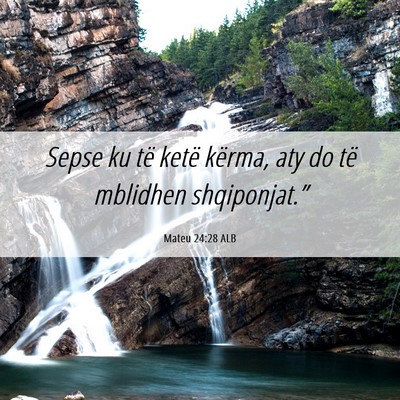 Picture 06 - Mateu 24:28 ALB - Sepse ku të ketë kërma, aty do të mblidhen - Bible Verse Picture