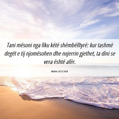 Picture 06 - Mateu 24:32 ALB - Tani mësoni nga fiku këtë shëmbëlltyrë: kur - Bible Verse Picture