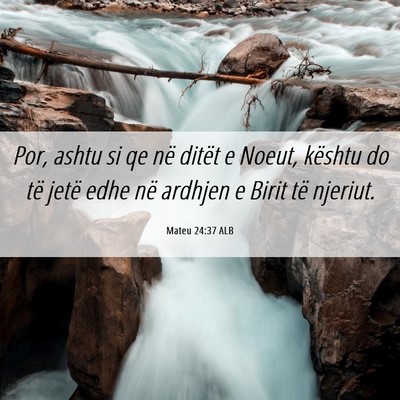 Picture 06 - Mateu 24:37 ALB - Por, ashtu si qe në ditët e Noeut, kështu do - Bible Verse Picture