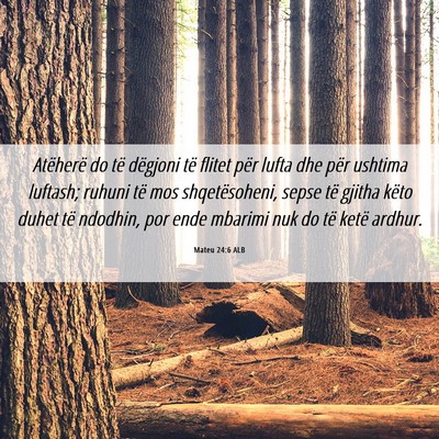 Picture 06 - Mateu 24:6 ALB - Atëherë do të dëgjoni të flitet për lufta - Bible Verse Picture
