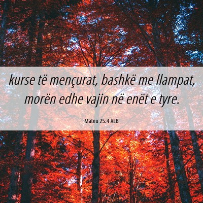 Picture 06 - Mateu 25:4 ALB - kurse të mençurat, bashkë me llampat, morën - Bible Verse Picture