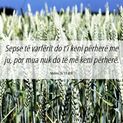 Picture 06 - Mateu 26:11 ALB - Sepse të varfërit do t’i keni përherë me - Bible Verse Picture