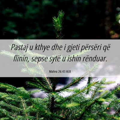 Picture 06 - Mateu 26:43 ALB - Pastaj u kthye dhe i gjeti përsëri që flinin, - Bible Verse Picture