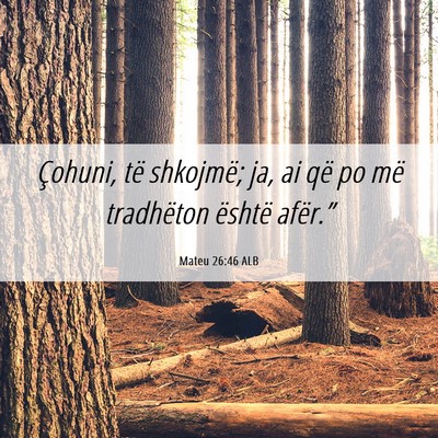 Picture 06 - Mateu 26:46 ALB - Çohuni, të shkojmë; ja, ai që po më - Bible Verse Picture
