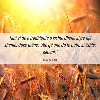 Picture 06 - Mateu 26:48 ALB - Tani ai që e tradhtonte u kishte dhënë atyre - Bible Verse Picture
