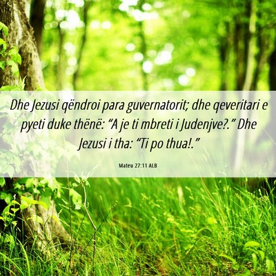 Picture 06 - Mateu 27:11 ALB - Dhe Jezusi qëndroi para guvernatorit; dhe - Bible Verse Picture