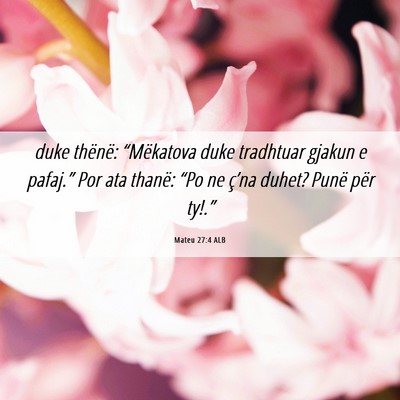 Picture 06 - Mateu 27:4 ALB - duke thënë: “Mëkatova duke tradhtuar gjakun - Bible Verse Picture