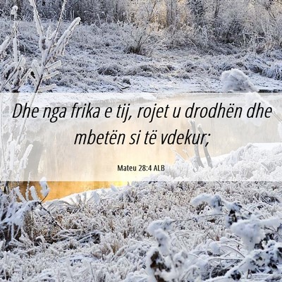 Picture 06 - Mateu 28:4 ALB - Dhe nga frika e tij, rojet u drodhën dhe mbetën - Bible Verse Picture
