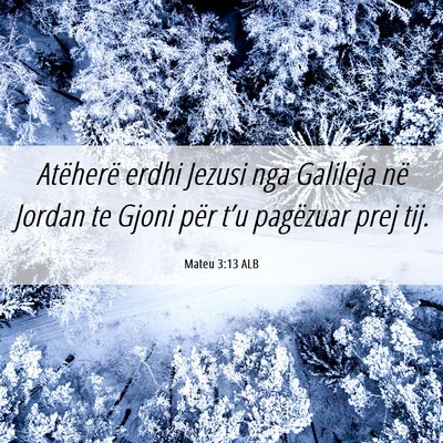Picture 06 - Mateu 3:13 ALB - Atëherë erdhi Jezusi nga Galileja në Jordan te - Bible Verse Picture