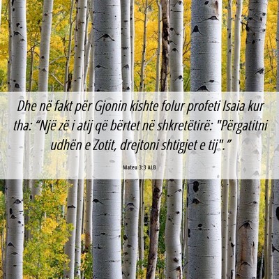 Picture 06 - Mateu 3:3 ALB - Dhe në fakt për Gjonin kishte folur profeti - Bible Verse Picture