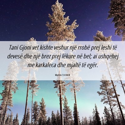 Picture 06 - Mateu 3:4 ALB - Tani Gjoni vet kishte veshur një rrobë prej - Bible Verse Picture