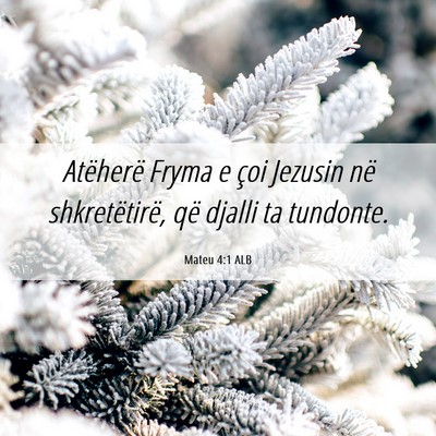 Picture 06 - Mateu 4:1 ALB - Atëherë Fryma e çoi Jezusin në shkretëtirë, - Bible Verse Picture