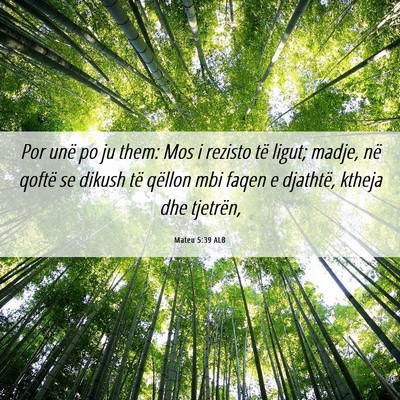 Picture 06 - Mateu 5:39 ALB - Por unë po ju them: Mos i rezisto të ligut; - Bible Verse Picture