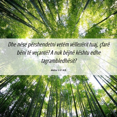 Picture 06 - Mateu 5:47 ALB - Dhe nëse përshendetni vetëm vëllezërit tuaj, - Bible Verse Picture