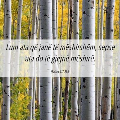 Picture 06 - Mateu 5:7 ALB - Lum ata që janë të mëshirshëm, sepse ata do - Bible Verse Picture