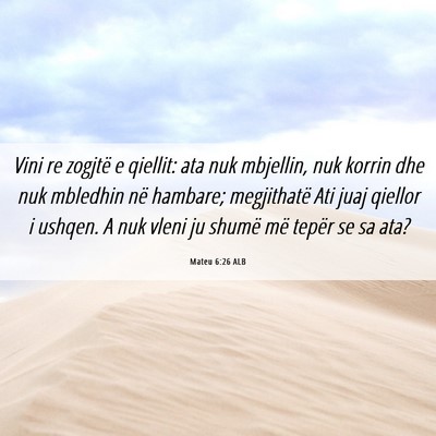 Picture 06 - Mateu 6:26 ALB - Vini re zogjtë e qiellit: ata nuk mbjellin, nuk - Bible Verse Picture