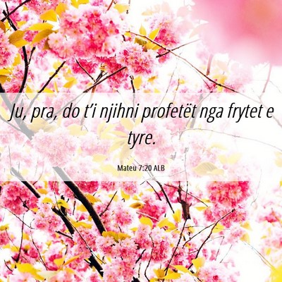 Picture 06 - Mateu 7:20 ALB - Ju, pra, do t’i njihni profetët nga frytet e - Bible Verse Picture