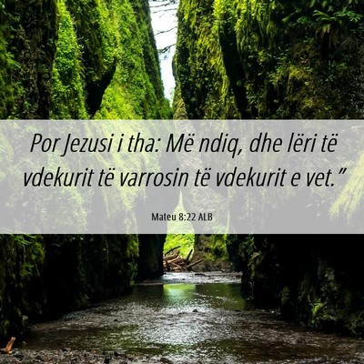 Picture 06 - Mateu 8:22 ALB - Por Jezusi i tha: Më ndiq, dhe lëri të - Bible Verse Picture