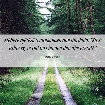 Picture 06 - Mateu 8:27 ALB - Atëherë njërëzit u mrekulluan dhe thoshnin: - Bible Verse Picture