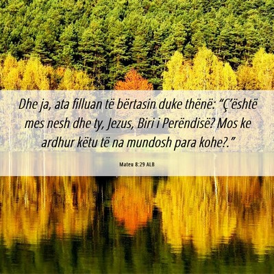 Picture 06 - Mateu 8:29 ALB - Dhe ja, ata filluan të bërtasin duke thënë: - Bible Verse Picture