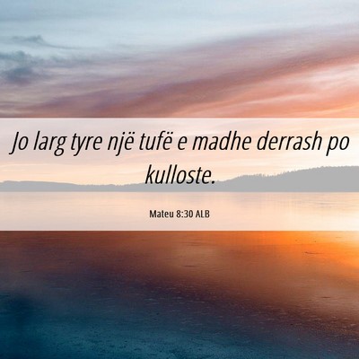 Picture 06 - Mateu 8:30 ALB - Jo larg tyre një tufë e madhe derrash po - Bible Verse Picture
