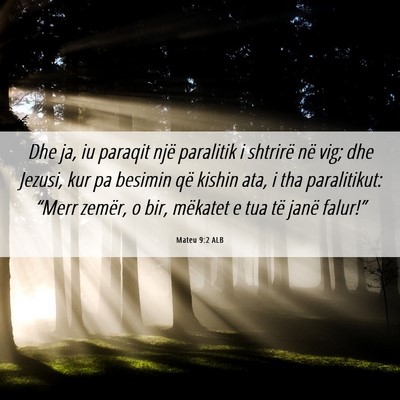 Picture 06 - Mateu 9:2 ALB - Dhe ja, iu paraqit një paralitik i shtrirë në - Bible Verse Picture