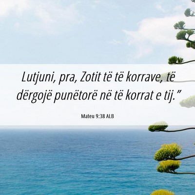 Picture 06 - Mateu 9:38 ALB - Lutjuni, pra, Zotit të të korrave, të - Bible Verse Picture