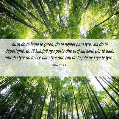Picture 06 - Mikea 2:13 ALB - Kush do të hapë të çarën, do të ngjitet - Bible Verse Picture