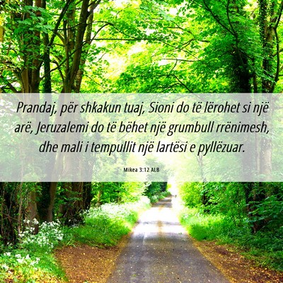 Picture 06 - Mikea 3:12 ALB - Prandaj, për shkakun tuaj, Sioni do të lërohet - Bible Verse Picture