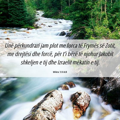 Picture 06 - Mikea 3:8 ALB - Unë përkundrazi jam plot me forca të Frymës - Bible Verse Picture