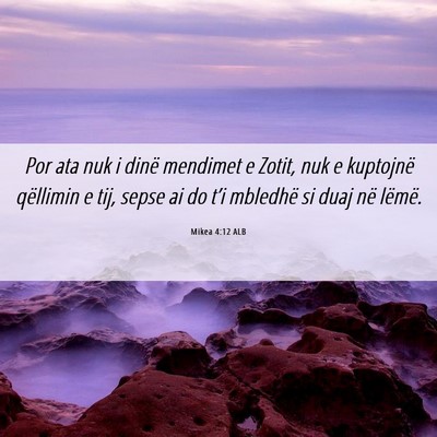 Picture 06 - Mikea 4:12 ALB - Por ata nuk i dinë mendimet e Zotit, nuk e - Bible Verse Picture
