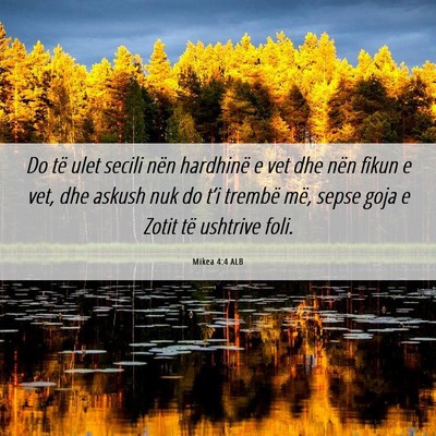 Picture 06 - Mikea 4:4 ALB - Do të ulet secili nën hardhinë e vet dhe nën - Bible Verse Picture