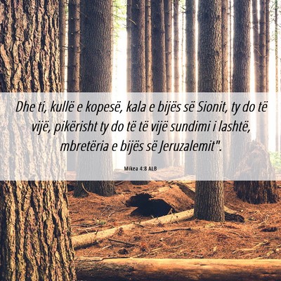Picture 06 - Mikea 4:8 ALB - Dhe ti, kullë e kopesë, kala e bijës së - Bible Verse Picture