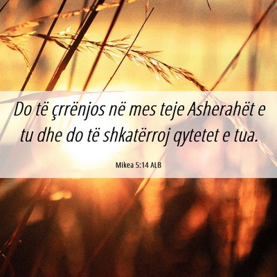 Picture 06 - Mikea 5:14 ALB - Do të çrrënjos në mes teje Asherahët e tu - Bible Verse Picture
