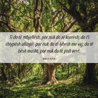 Picture 06 - Mikea 6:15 ALB - Ti do të mbjellësh, por nuk do të korrësh; do - Bible Verse Picture
