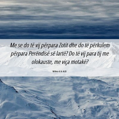 Picture 06 - Mikea 6:6 ALB - Me se do të vij përpara Zotit dhe do të - Bible Verse Picture