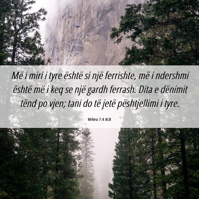 Picture 06 - Mikea 7:4 ALB - Më i miri i tyre është si një ferrishte, më - Bible Verse Picture