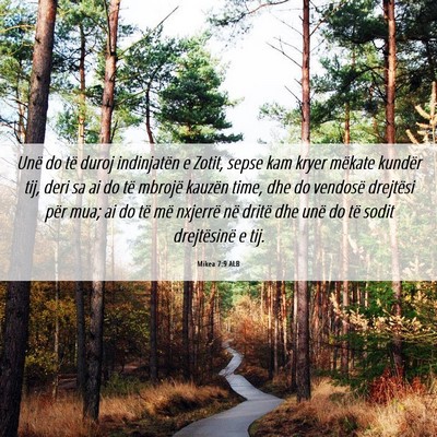 Picture 06 - Mikea 7:9 ALB - Unë do të duroj indinjatën e Zotit, sepse kam - Bible Verse Picture