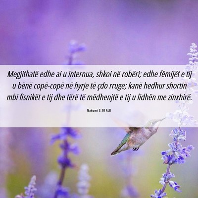 Picture 06 - Nahumi 3:10 ALB - Megjithatë edhe ai u internua, shkoi në - Bible Verse Picture