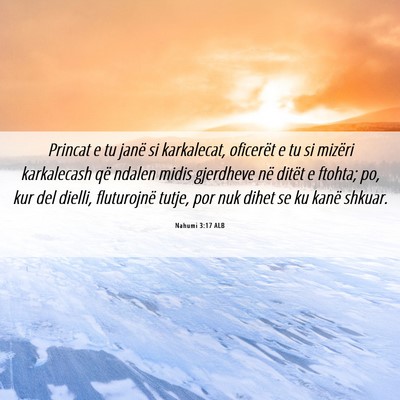 Picture 06 - Nahumi 3:17 ALB - Princat e tu janë si karkalecat, oficerët e tu - Bible Verse Picture